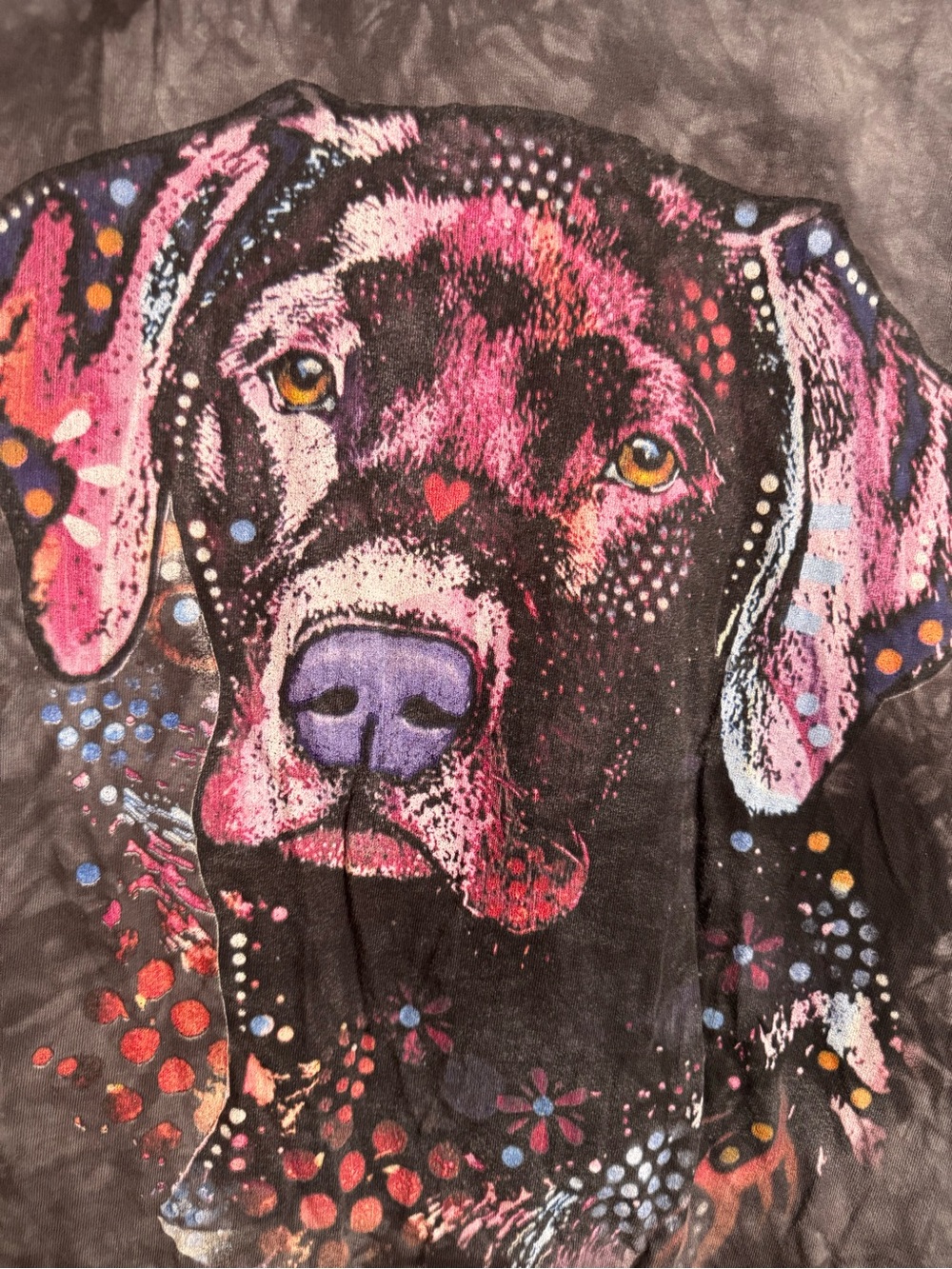 The Mountain Tie-Dye Dog Graphic Tee (S) - Picture 2 of 3
